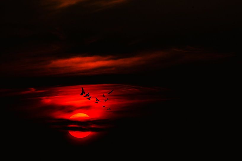 NATUUR : VLUCHT NAAR DE ZONSONDERGANG van Photoart-Naegele