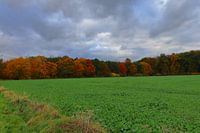 Automne