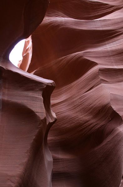 Antelope Canyon von Matthias Brix