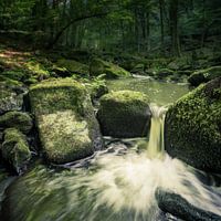 Kleine waterval in prachtig bos
