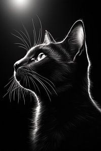 Schwarze Katze mit Hintergrundbeleuchtung