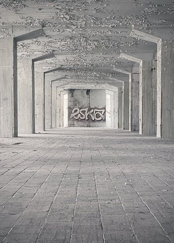 Verlaten plekken: Sphinx fabriek Maastricht Eiffelgebouw kolommen.