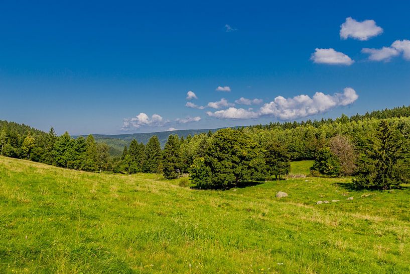 Prachtig landschap bij het Knüllfeld/Thüringer Woud van Oliver Hlavaty