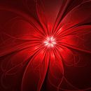 Rote Blume abstrakt van gabiw Art thumbnail