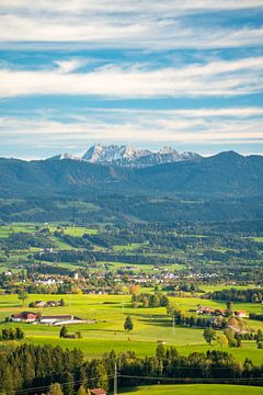 Blick vom Mariaberg auf die Allgäuer Alpen und das Gaishorn von Leo Schindzielorz