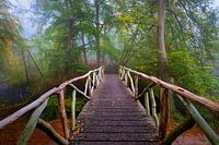 Loopbrug in park