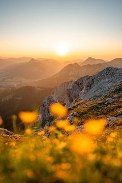 vue fleurie sur les Alpes de Tannheim &amp ; Allgäu au coucher du soleil sur Leo Schindzielorz