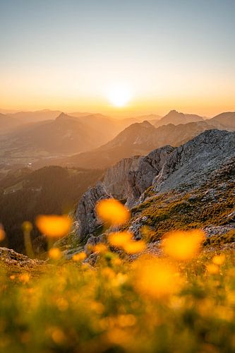 bloemrijk uitzicht op de Tannheim & Allgäuer Alpen bij zonsondergang