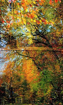 Herbstlicher Farbspaziergang von Anita Snik-Broeken