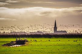 Paysage près de Workum, Frise, Pays-Bas. sur Jaap Bosma Fotografie