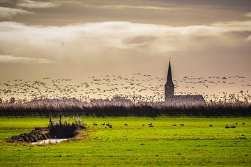 Landschap bij Workum, Friesland, Nederland. van Jaap Bosma Fotografie