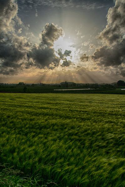 Sunset by Hanne Berden