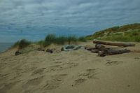Texel