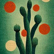 Studio Nocta profielfoto