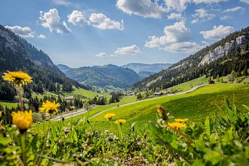 Eine schöne französische Landschaft von Lydia