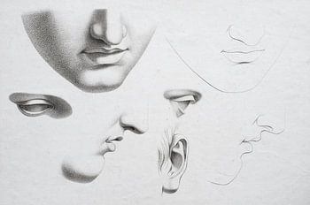 Old head study in various positions in black and white,