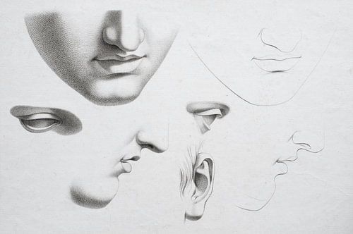 Oude hoofdstudie in verschillende posities in zwart-wit,