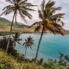 Palmbomen en blauwe zee op het eiland Lombok, Indonesië van Expeditie Aardbol