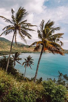 Palmbomen en blauwe zee op het eiland Lombok, Indonesië van Expeditie Aardbol
