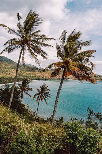 Palmbomen en blauwe zee op het eiland Lombok, Indonesië