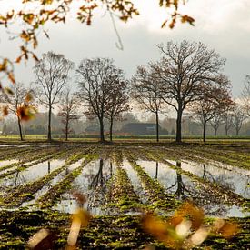 Flooding in field by Jan Fritz