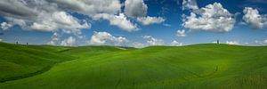 Panorama image of the green Tuscany hills von Edwin Mooijaart