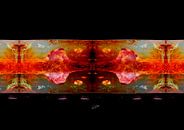 Watch the show van Wouter Springer thumbnail