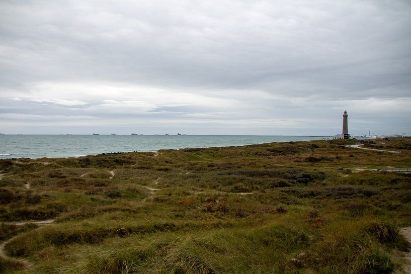 Skagen lighthouse by Fotografie door Jade