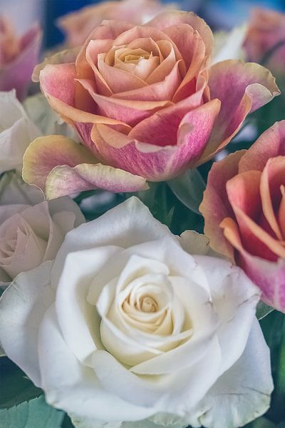 combined beauty by tassy fotografie