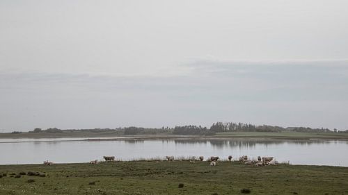 Sommer am Glomstrup-Fjord