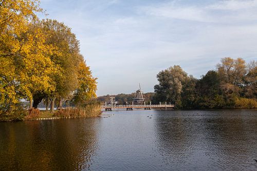 Herfst bij de Kralingse plas