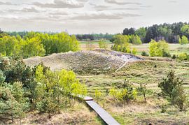 Holzweg durch die Dünen an der Ostsee
