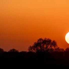 Sonnenuntergang auf Fehmarn von Stephan Zaun