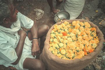 Bloemen van India van Edgar Bonnet-behar
