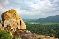 A rock in Sri Lanka's jungle
