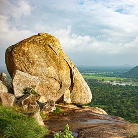 Een rots in de jungle van Sri Lanka van Rijk van de Kaa