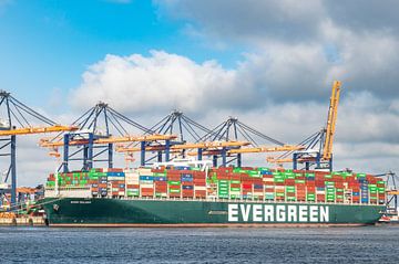 Container ship Ever Golden in the port of Rotterdam