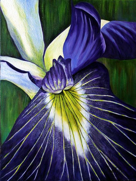 Divine - une fleur divine par Tineke Kleij-van den Boomen