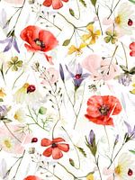 Mohn und Wildblumen Wiese