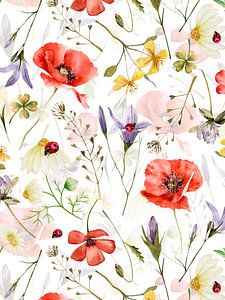 Mohn und Wildblumen Wiese