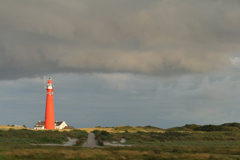 Leuchtturm Schiermonnikoog von Wim Zoeteman