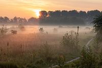 Grondmist boven de velden van de Broekpolder