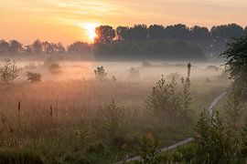 Ground fog above the fields of the Broekpolder