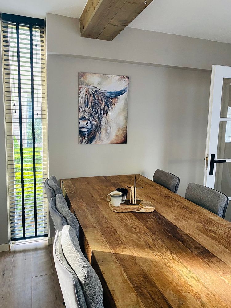 schotse hooglander ( scottisch highlander)  van Els Fonteine 