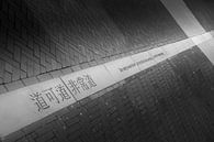 Chinese hedge spell by Marc van Gessel thumbnail