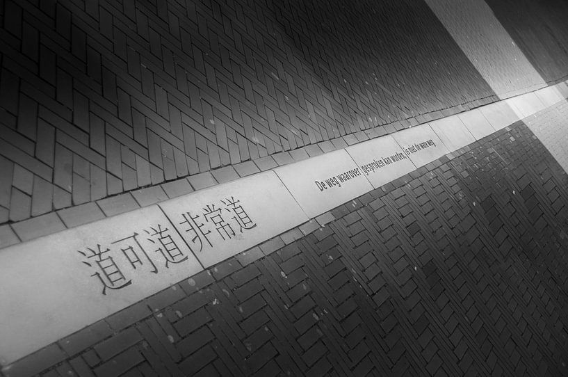 Chinese hedge spell by Marc van Gessel