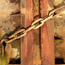 Sei stark. von Alie Ekkelenkamp