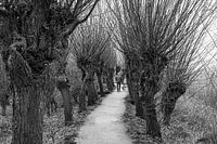Rhoonse Grienden