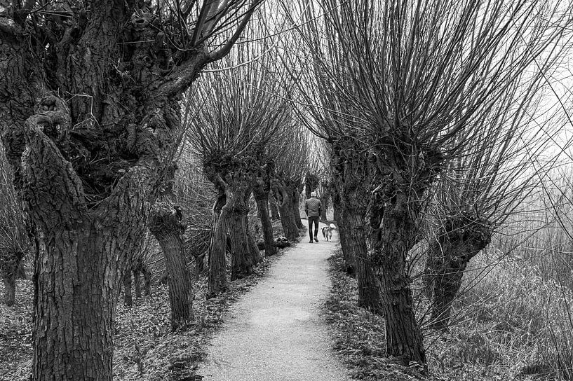 Rhoonse Grienden by fotografiebiezen