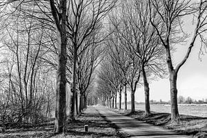 Kanaaldijk bei Old Diemen